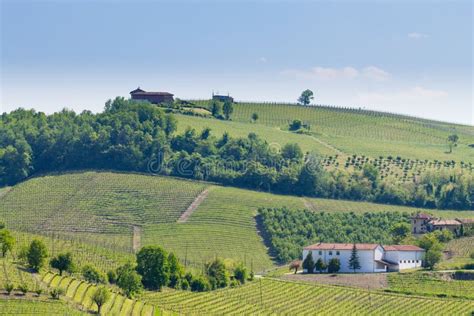  Landscape and Memory: A Journey Through Italian Agricultural Heritage! Unveiling the Soul of Italy's Cultivated Past